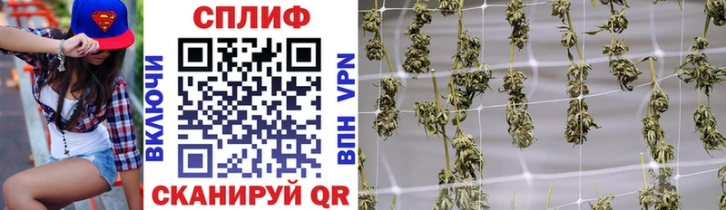 Канабис OG Kush  Купить  Андреаполь 